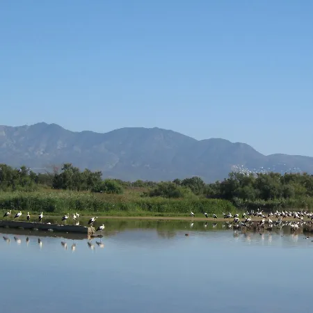 Amazing Seaview With Terrace & Parking - Casa Artevida Roses