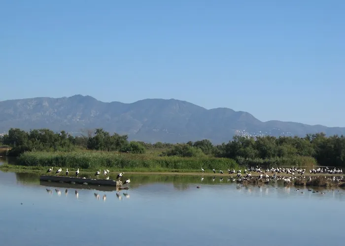 Amazing Seaview With Terrace & Parking - Casa Artevida Roses